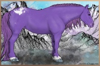 Horse Color:Watercolor Smoky Black Appaloosa 