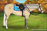 Horse Color:Silver Buckskin 