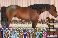 Horse Color:Brown Sabino