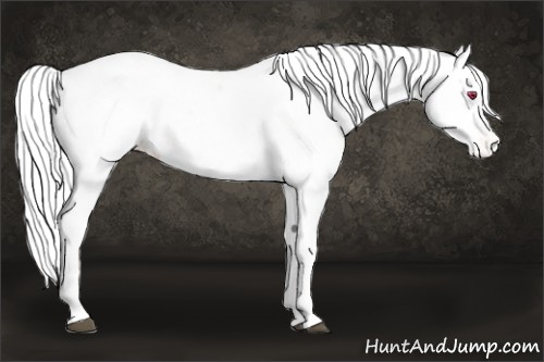 Horse Color:Chestnut Chinchilla Near Leopard