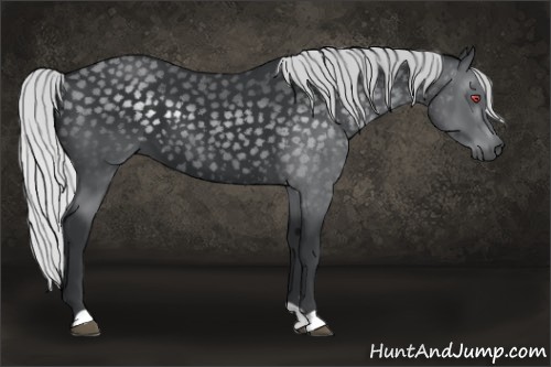 Horse Color:Silver Black Chinchilla 