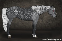 Horse Color:Silver Black Chinchilla 