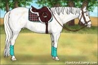 Horse Color:Palomino Leopard and Palomino Splash Leopard