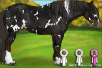 Horse Color:White Spotted Liver Chestnut Ice Sabino 