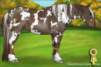 Horse Color:White Spotted Liver Chestnut