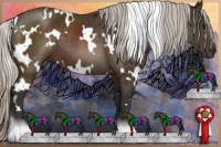 Horse Color:White Spotted Silver Brown