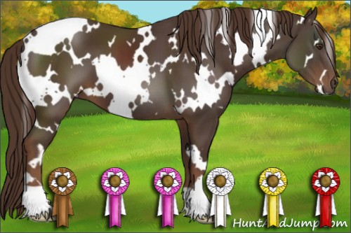 Horse Color:White Spotted Liver Chestnut 