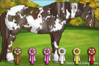Horse Color:White Spotted Liver Chestnut 