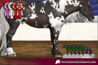 Horse Color:White Spotted Silver Brown 