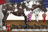 Horse Color:White Spotted Silver Brown