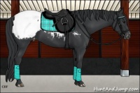 Horse Color:Black Snowcap 
