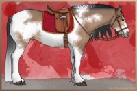 Horse Color:Bay Dun Tobiano Frame Rabicano
