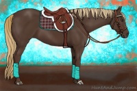 Horse Color:Liver Chestnut 