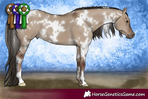 Horse Color:White Spotted Liver Red Dun 