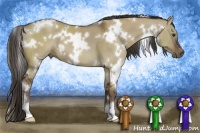 Horse Color:White Spotted Liver Red Dun 