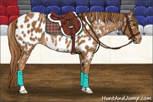 Horse Color:Chestnut Near Leopard Rabicano 