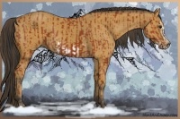 Horse Color:Bay Sabino Rabicano and Buckskin Sabino Frame Rabicano