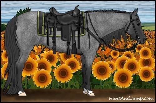 Horse Color:Blue Roan 