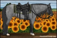 Horse Color:Blue Roan 