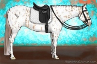 Horse Color:Amber Champagne Near Leopard  and Amber Champagne Near Leopard 