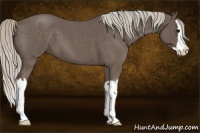 Horse Color:Silver Blue Roan Splash