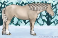 Horse Color:Chocolate Palomino Pearl