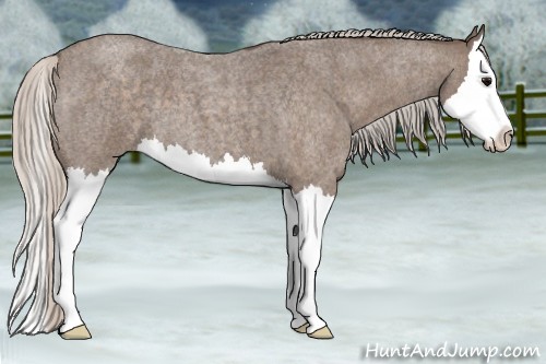 Horse Color:Silver Blue Roan Splash 