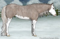 Horse Color:Silver Blue Roan Splash