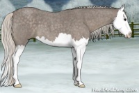 Horse Color:Silver Blue Roan Splash