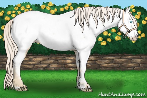 Horse Color:Palomino Pearl Near Fewspot