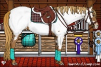 Horse Color:Chestnut Appaloosa
