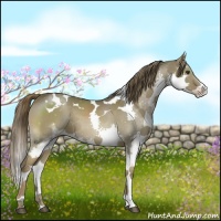 Horse Color:White Spotted Liver Red Dun Splash Tobiano
