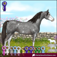Horse Color:Liver Chestnut Ice Sabino 