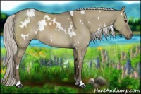 Horse Color:White Spotted Silver Smoky Grullo