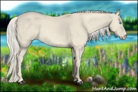 Horse Color:Cremello Dun 