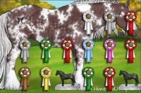 Horse Color:White Spotted Chocolate Silver Black Chinchilla 