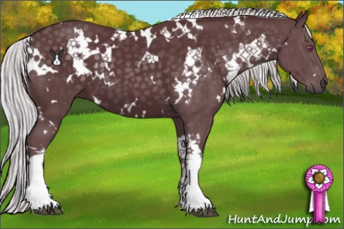 Horse Color:White Spotted Chocolate Silver Black Chinchilla 