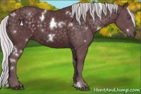 Horse Color:White Spotted Chocolate Silver Black Chinchilla 