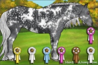 Horse Color:White Spotted Silver Black Chinchilla 