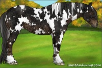 Horse Color:White Spotted Liver Chestnut Ice 
