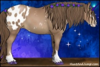 Horse Color:Black Pearl Sabino Blanket