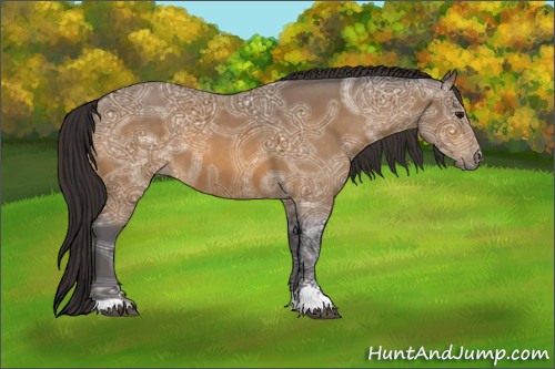 Horse Color:Buckskin Ice Sabino 