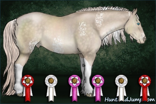 Horse Color:White Spotted Chocolate Palomino Pearl Tobiano 