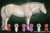 Horse Color:White Spotted Chocolate Palomino Pearl Tobiano 