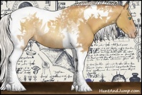 Horse Color:Silver Classic Champagne Tobiano Rabicano