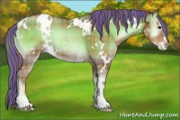 Horse Color:Painted Plaid  White Spotted Brown Pearl Onyx Sabino 