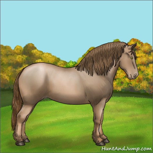 Horse Color:Liver Chestnut Pearl 