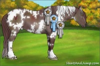 Horse Color:White Spotted Chocolate Black