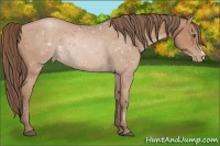 Horse Color:Black Pearl