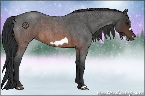 Horse Color:Brown Roan Frame 